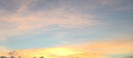 IMG_2811_cropped_resized