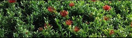 VHGGG - Chapter 21.JPG