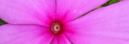 img_1828_cropped_chapter-to-be-determined_16