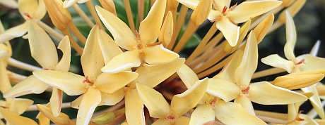 img_6446_cropped_resized_chapter-15