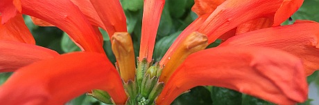 IMG_6452_cropped_resized_Chapter 18