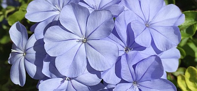 IMG_2330_cropped_resized-Chapter 17