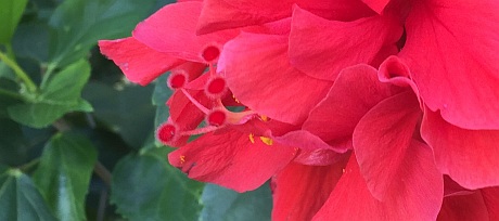 IMG_7927_cropped_resized