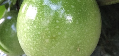 img_6148_cropped_resized_chapter-13